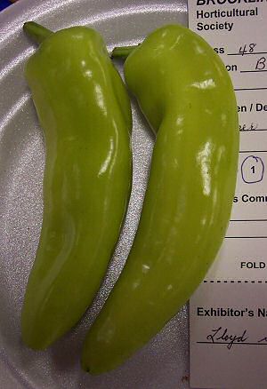 First prize peppers 2005